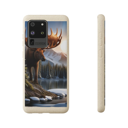 Sustainable Phone Cases: Plastic-Free & Eco-Conscious