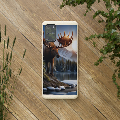 Sustainable Phone Cases: Plastic-Free & Eco-Conscious