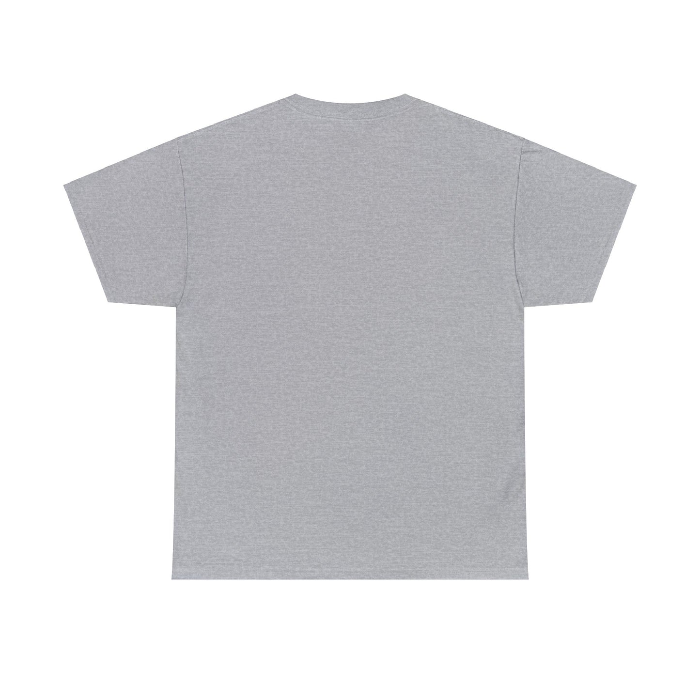 Unisex Heavy 100% Cotton  sustainable Tee