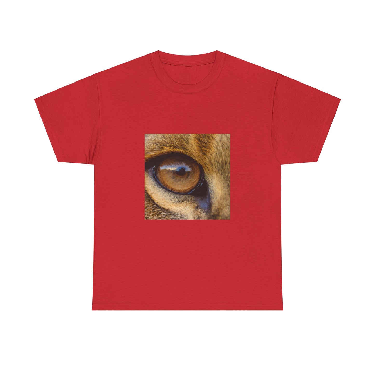 Piercing Eagle Eye Graphic Tee