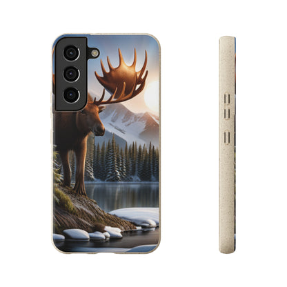 Sustainable Phone Cases: Plastic-Free & Eco-Conscious