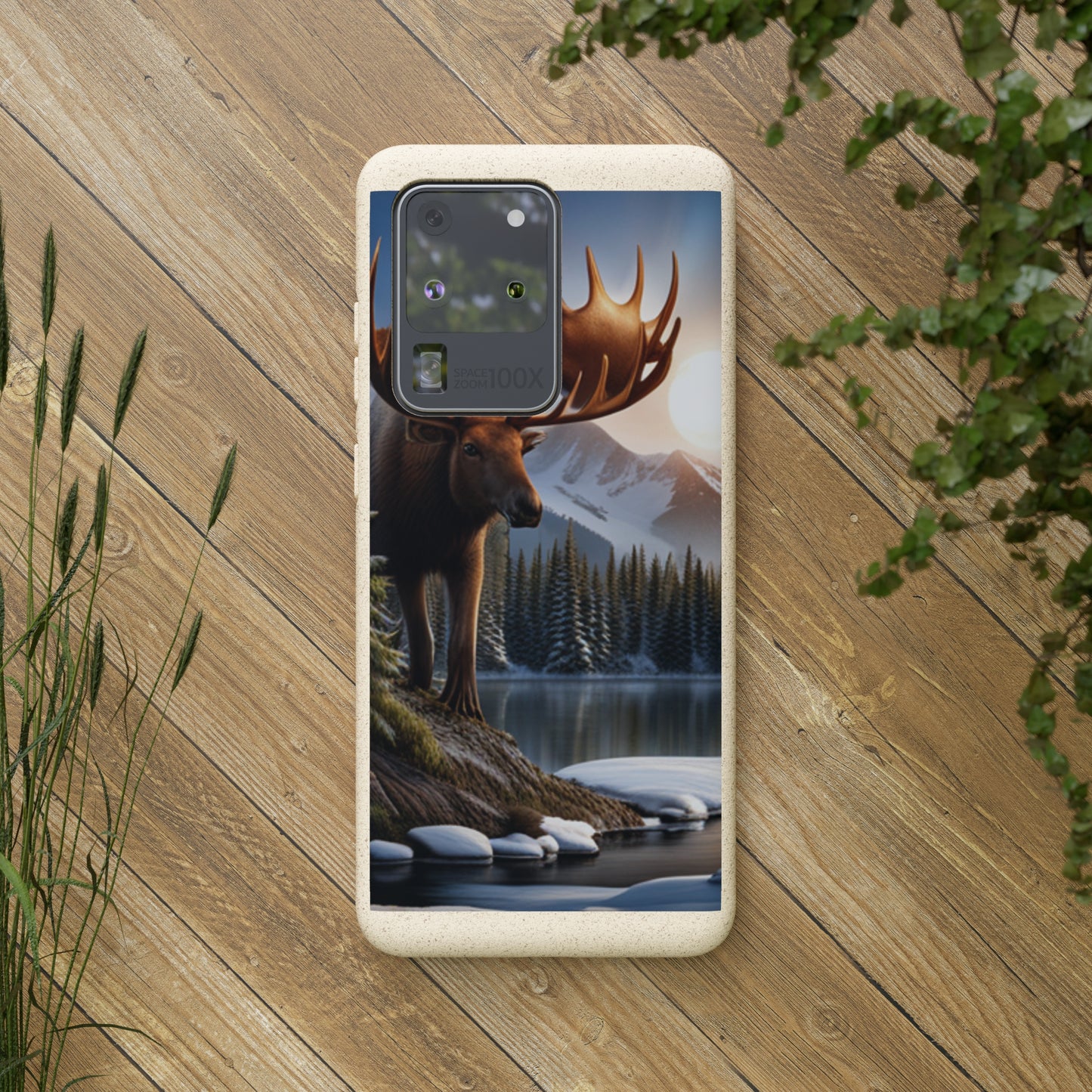 Sustainable Phone Cases: Plastic-Free & Eco-Conscious