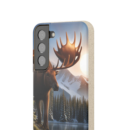 Sustainable Phone Cases: Plastic-Free & Eco-Conscious