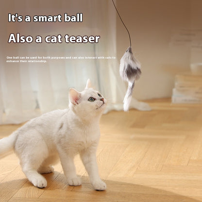 Delight Your Pets with Our Fun Electric Mouse Teaser Ball – Automatic Rolling Toy for Cats and Dogs.