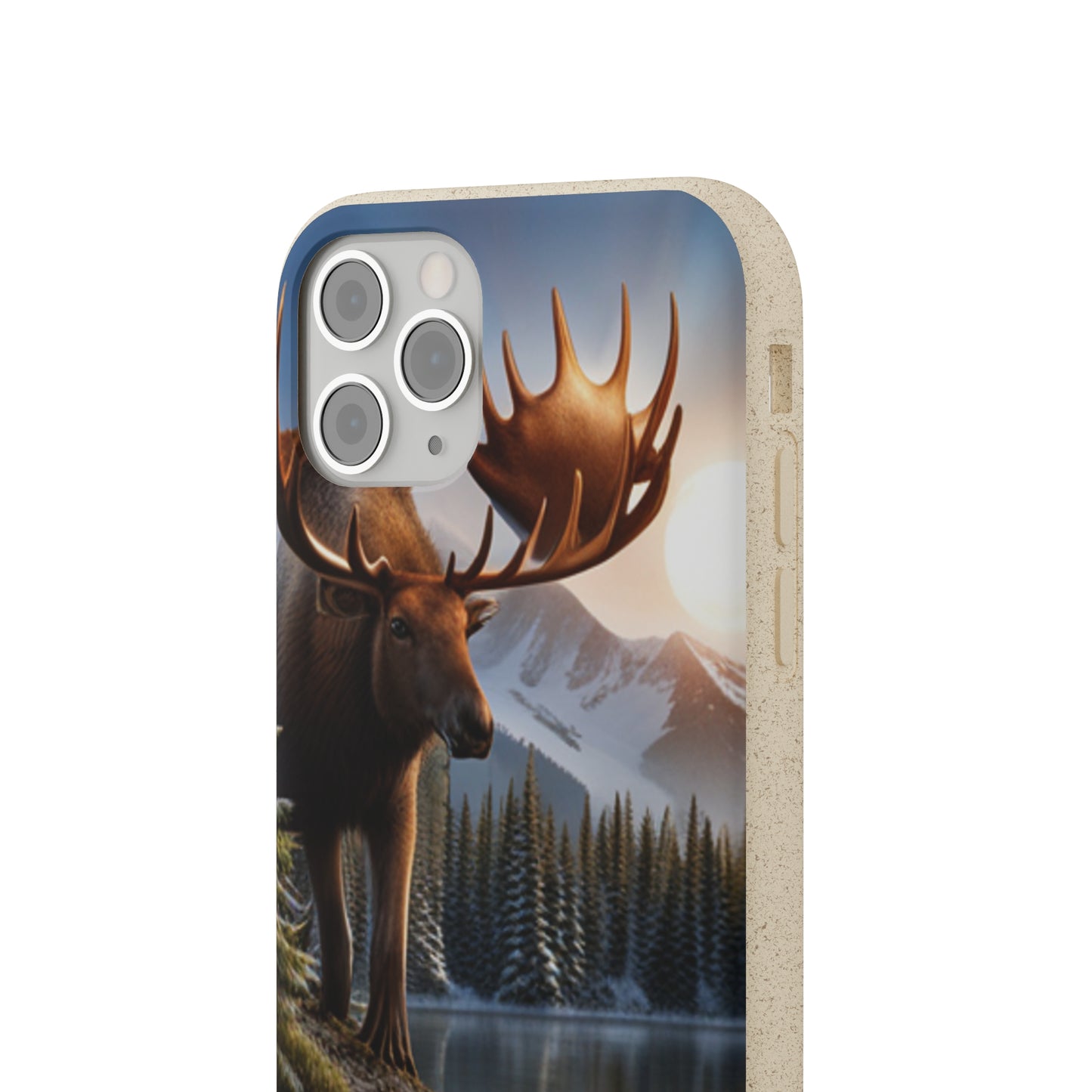 Sustainable Phone Cases: Plastic-Free & Eco-Conscious