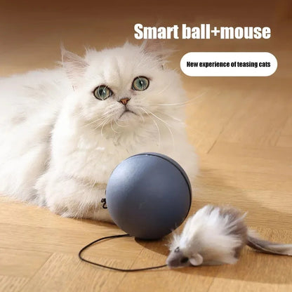 Delight Your Pets with Our Fun Electric Mouse Teaser Ball – Automatic Rolling Toy for Cats and Dogs.