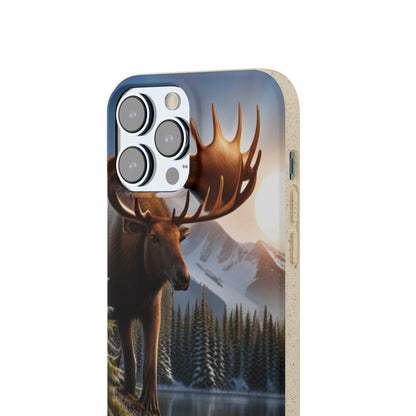 Sustainable Phone Cases: Plastic-Free & Eco-Conscious