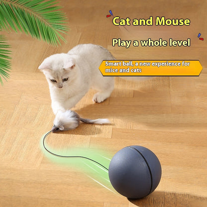 Delight Your Pets with Our Fun Electric Mouse Teaser Ball – Automatic Rolling Toy for Cats and Dogs.