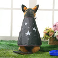 best clothes for pets dog clothes shop online at M2K Trends for dog clothes