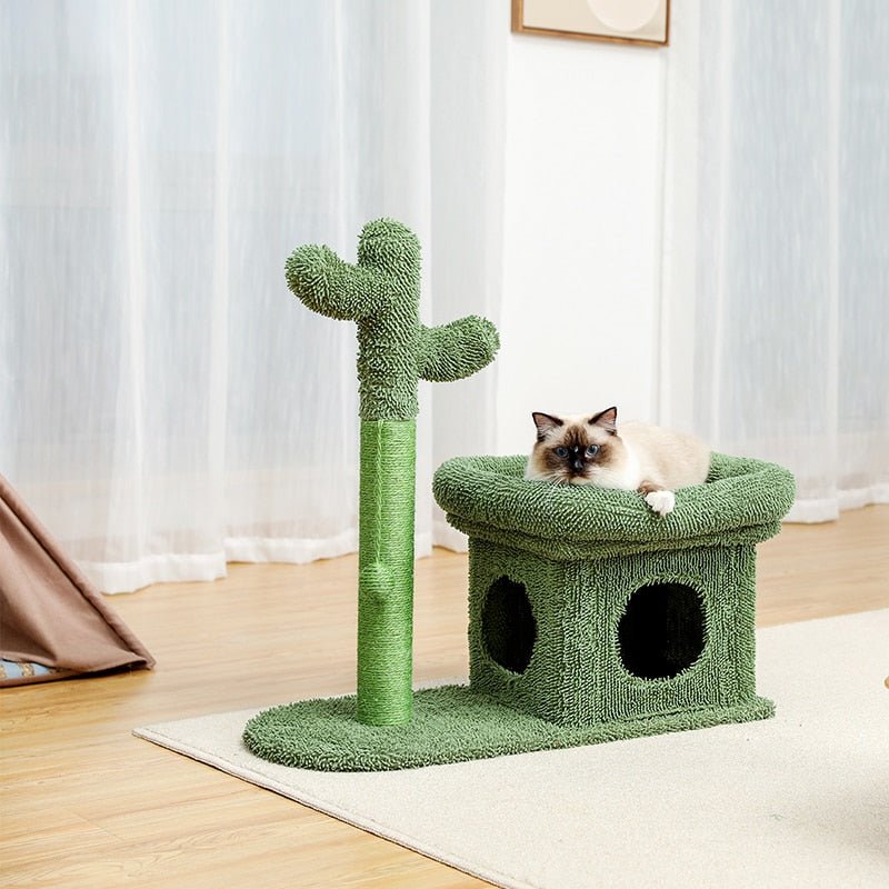 best Cute Cactus Pet Cat Tree Toy with Ball Scratching Post for Cat Kitten Climbing Mushroom Condo Protecting Furniture Fast Delivery Cute Cactus shop online at M2K Trends for Cute Cactus