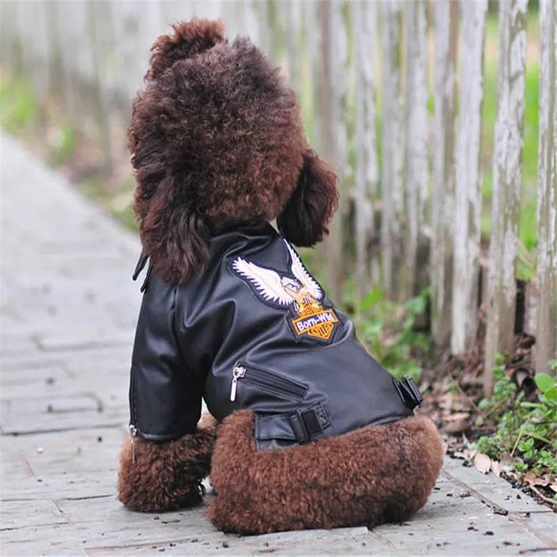 best Glorious Eagle Pattern Dog Coat PU Leather Jacket Soft Waterproof Outdoor Puppy Outerwear Fashion Clothes For Small Pet(XXS-XXL) shop online at M2K Trends for