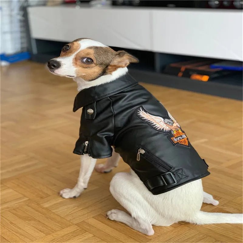 best Glorious Eagle Pattern Dog Coat PU Leather Jacket Soft Waterproof Outdoor Puppy Outerwear Fashion Clothes For Small Pet(XXS-XXL) shop online at M2K Trends for