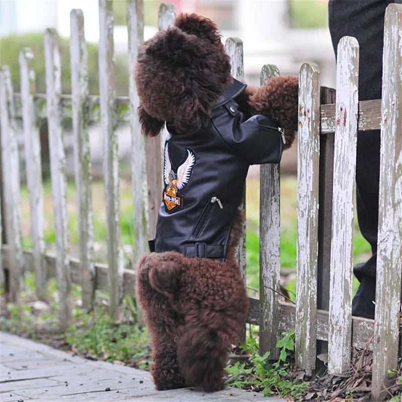 best Glorious Eagle Pattern Dog Coat PU Leather Jacket Soft Waterproof Outdoor Puppy Outerwear Fashion Clothes For Small Pet(XXS-XXL) shop online at M2K Trends for