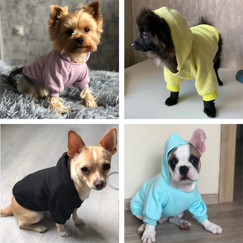 best New Winer Dog Clothes Pure Design Cat Dog Hoodie Autumn Winter Dog Coat Jacket Puppy Chihuahau Pet Apparel Ropa Perro Pug shop online at M2K Trends for