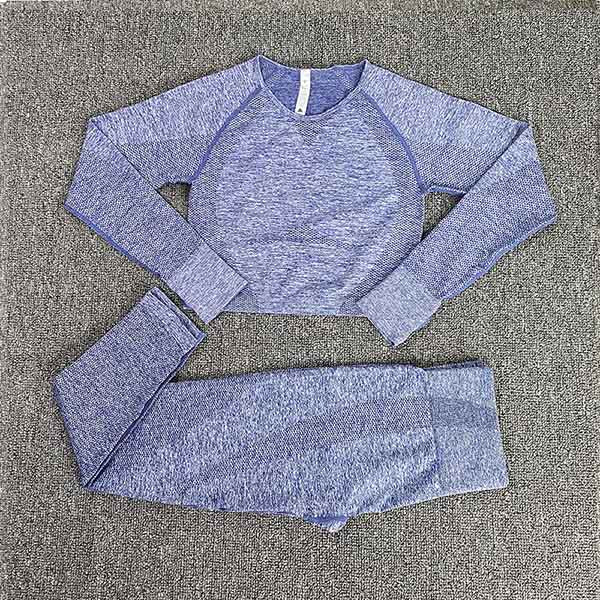 best Seamless Gym Clothing Women Yoga Set Fitness Suit Workout Sets Yoga Suit Women Fitness Set Women Women&#39;s Sportswear Suit 0 shop online at M2K Trends for