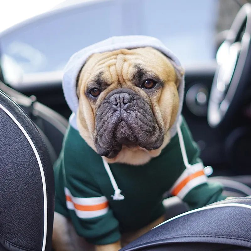 best SUPREPET Pet Dog Clothes Dog Grandy Hoodie for French Bulldog Cute French Bulldog Clothes Dog Hoodie Puppy Clothes for Small Dog shop online at M2K Trends for