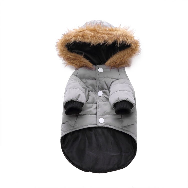 best Winter clothing for pets dog clothes shop online at M2K Trends for dog clothes