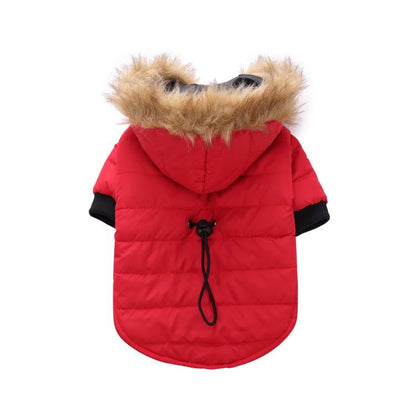 best Winter clothing for pets dog clothes shop online at M2K Trends for dog clothes