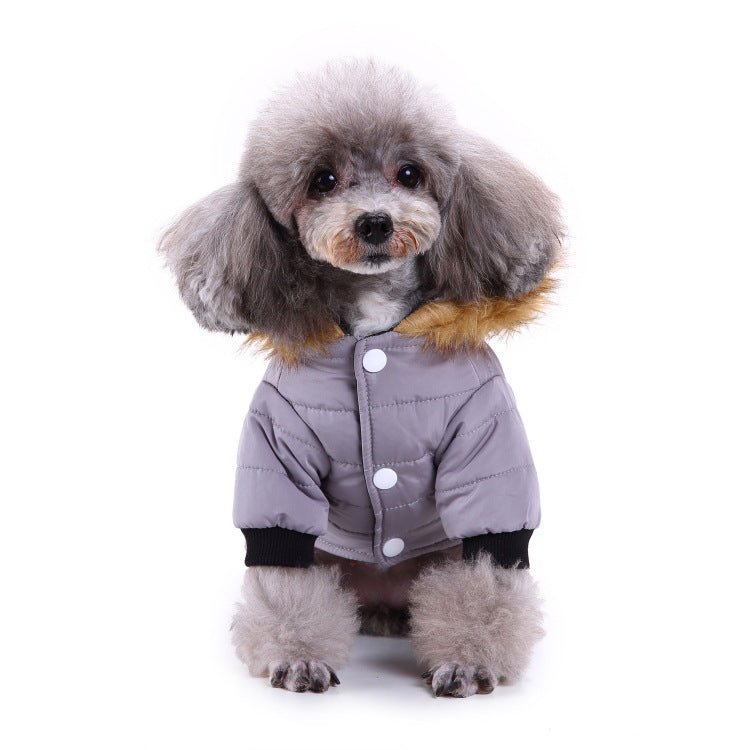 best Winter clothing for pets dog clothes shop online at M2K Trends for dog clothes