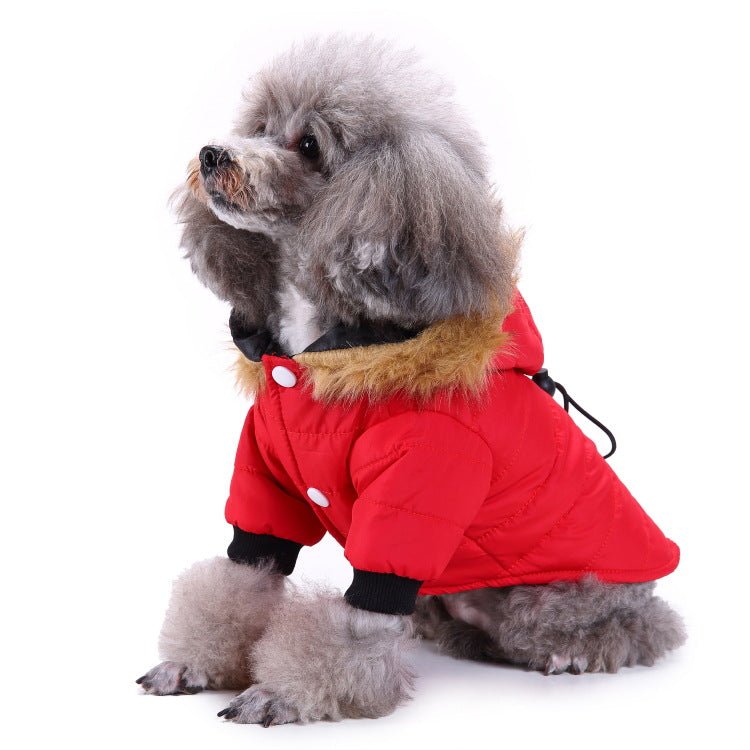 best Winter clothing for pets dog clothes shop online at M2K Trends for dog clothes
