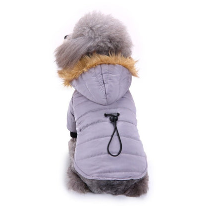 best Winter clothing for pets dog clothes shop online at M2K Trends for dog clothes