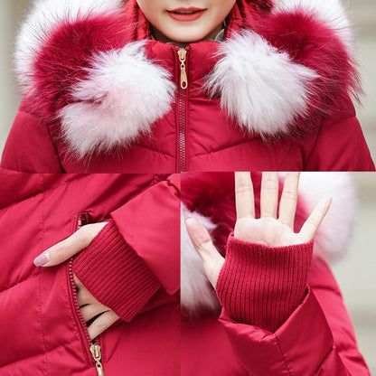 best Women Hooded With Fur Jackets & Coats shop online at M2K Trends for 2022 New Arrival Winter Jacket Women